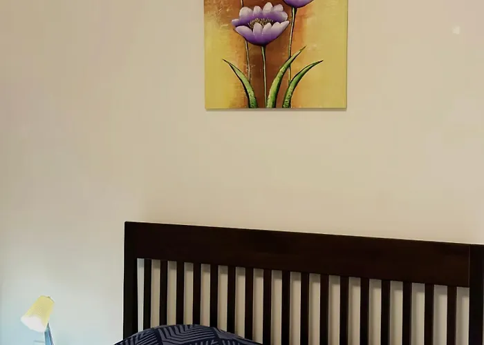 Dekster ואליג'בו